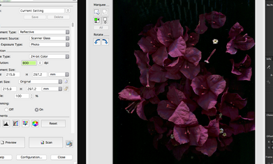 When using a high definition scanner software, users can adjust various settings such as color depth, contrast, brightness, and saturation to achieve the desired results. The software will also often include advanced features such as dust removal, image cropping, and color correction to further enhance the quality of the scanned image.