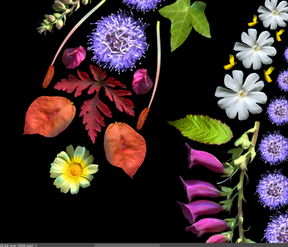 Screenshot 2022-08-08 at 15.24.00.png