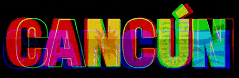 giphy (3).gif
