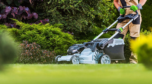 lawn.jpeg