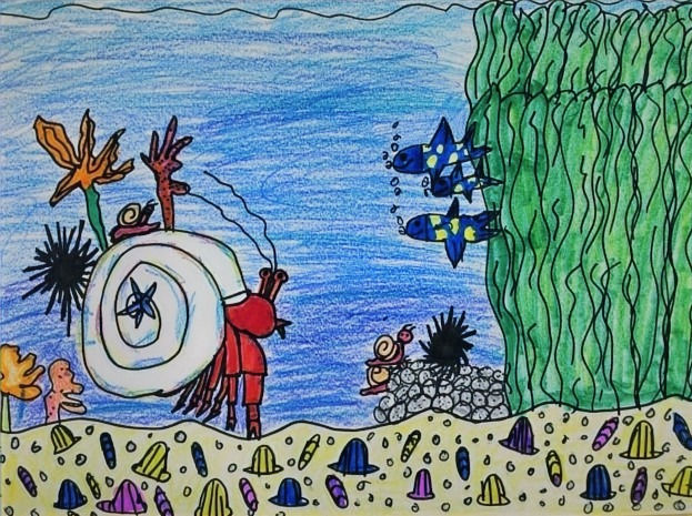 7/29-8/2 Illustrate Your Ocean Story with Robin Eberhardt