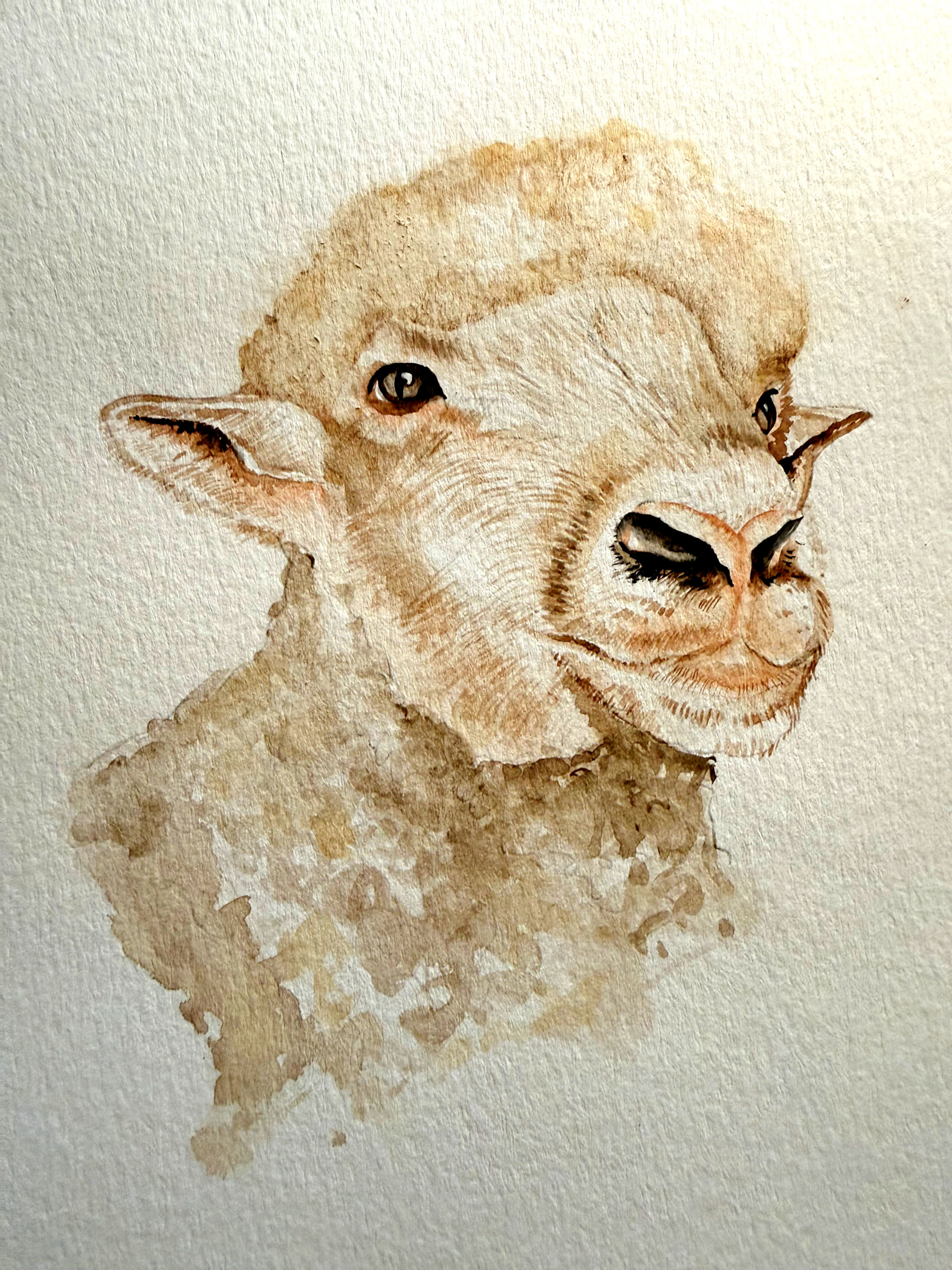 7/20 & 7/22 Watercolor Animals with Mary Pesch