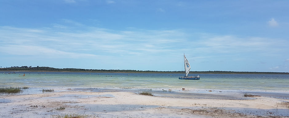 20180325_111101.jpg