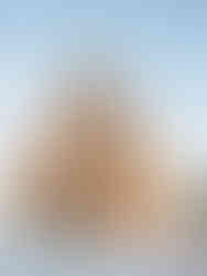 Helsinki Central Library Oodi is a living meeting place