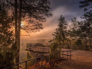 Finland is heavily forested, with over 70% of its land area covered by woodlands, dominated by pine, spruce, and birch trees