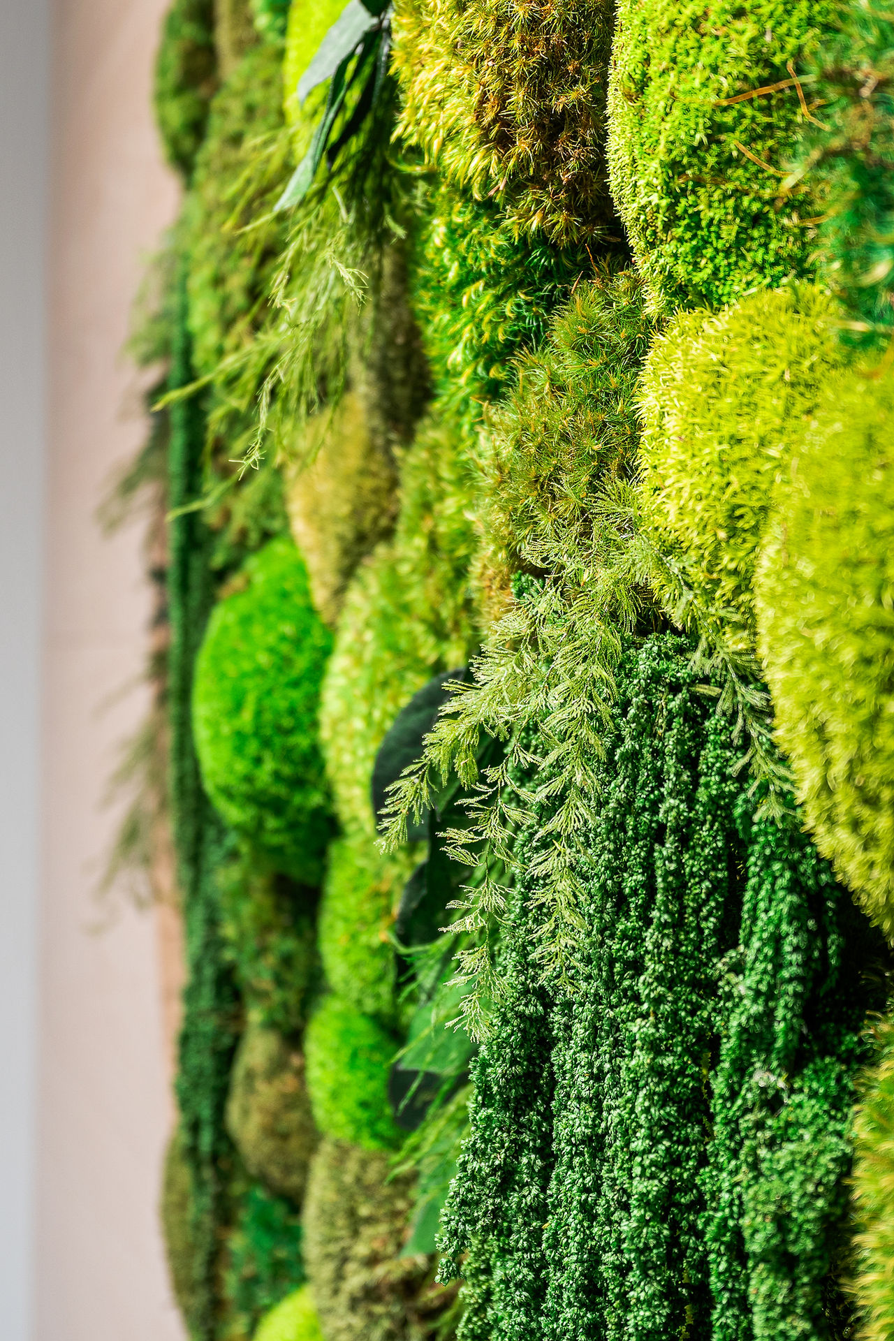 “Round preserved moss wall art installation with lush green textures, biophilic interior design feature by re.dzine at Orchard Clinic in Denver, Colorado, creating a calming and natural wellness-focused environment
