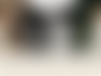 Wide Studio RÉN blog header with three bridal images showing drop-waist and basque-waist wedding dresses.