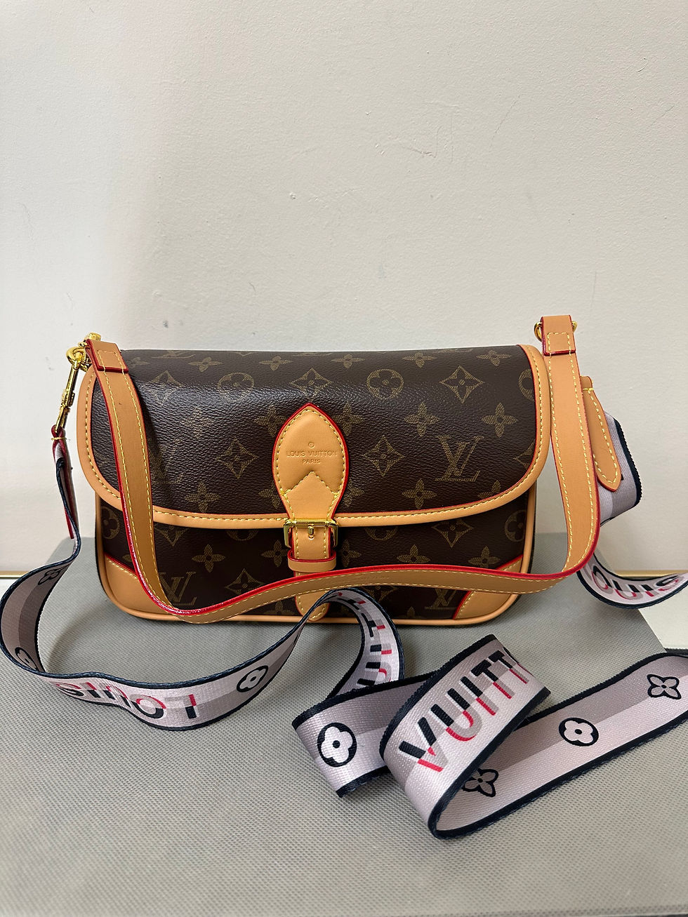 LV bag, new: $100