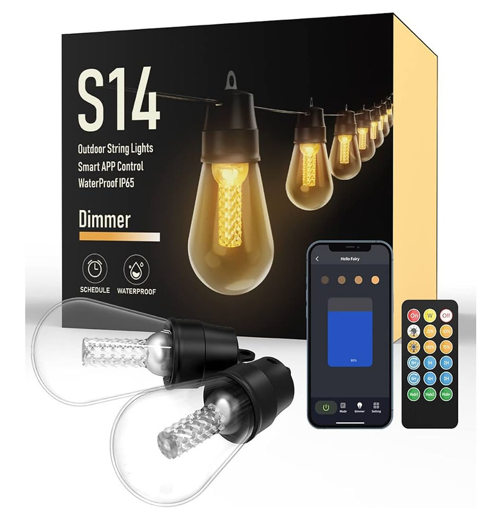 S14 outdoor 85.3ft smart app control dimmable string light, new: $28/set