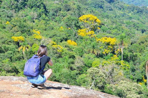 Florilégio: uma antologia da natureza