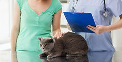 medicine-pet-animals-health-care-people-concept-happy-woman-with-british-cat-veterinarian-