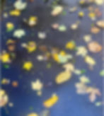 "When All The Leaves Are Gold" inspiration