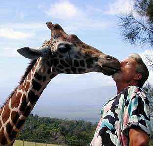 Gregory Appleby, Giraffe, Maui Hawaii