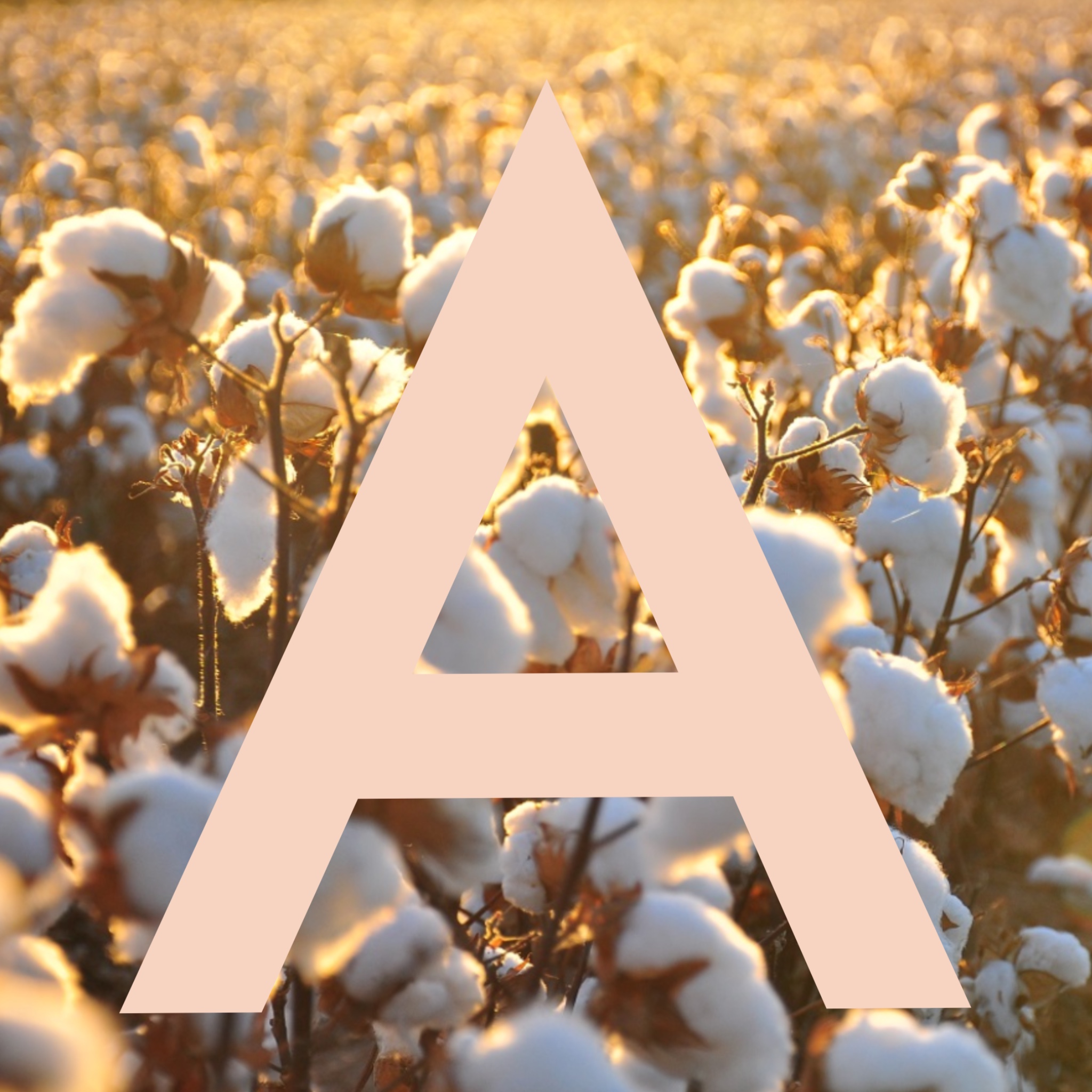 Agriculture