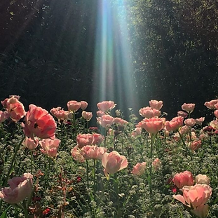 Screen Shot 2019-01-29 at 11.29.28 PM.pn