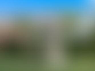 curb appeal on beautiful houses in a neighborhood