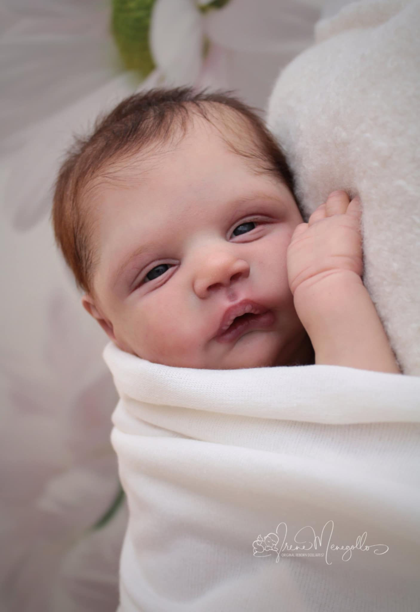 Alessandro Awake by Cassie Love