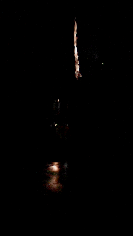 31j.gif