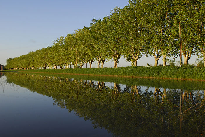Vivre en Camargue entre marais et rizières
