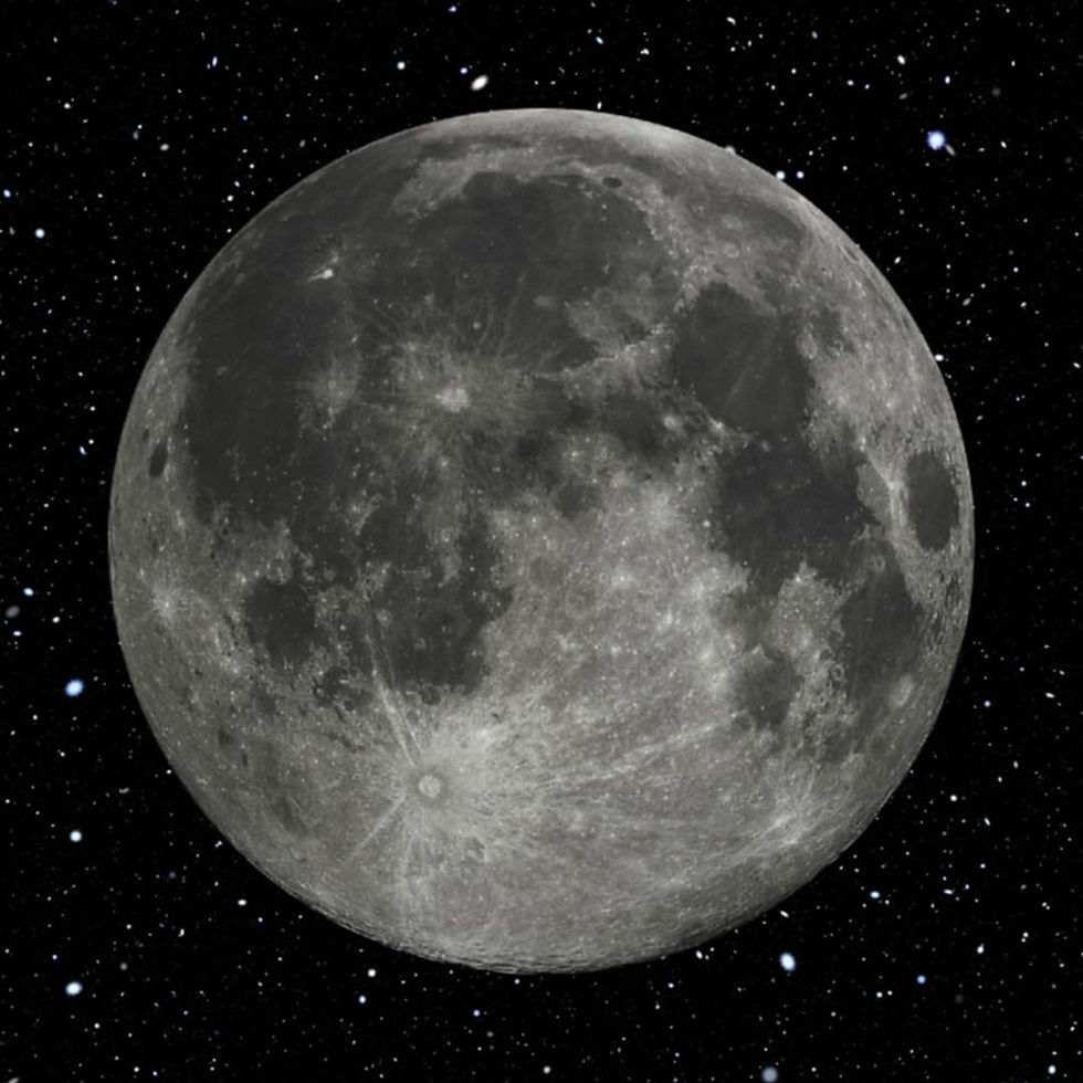 ree