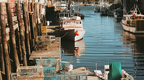 Vila De Pesca