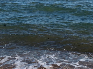 Sandy beach with small waves lapping the shore, leading to deep blue ocean under a clear sky. A distant buoy is visible on the horizon.