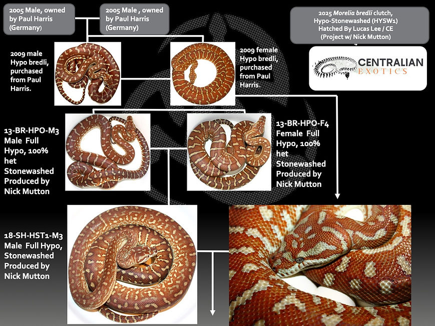 2025 Hypo-Stonewashed bredli clutch (24-HYSW).jpg