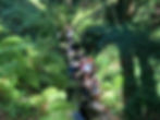 One of many student learning outings around SCG campus and neighboring trails