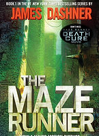 maze runne.jpg