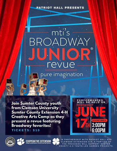 MTI's Boradway Junior WEB (2).png