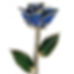 Dark Blue Gold Rose