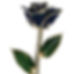 Black Gold Rose