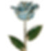 Light Blue Gold Rose