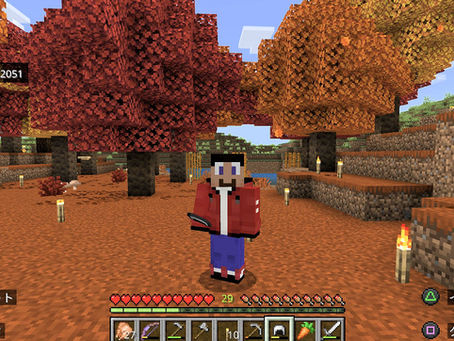 🎮️ “マイクラ熱” 再び ️🎮️