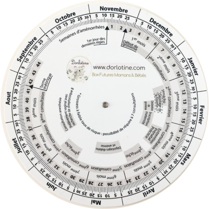 disque-de-grossesse-maternité