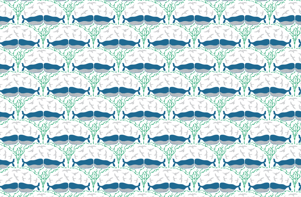 Whale Song | ©Brooke Becker
