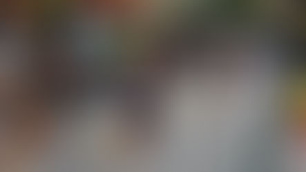 Triathlon Commercialized