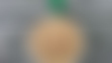 The 2015 White Lake Half is history