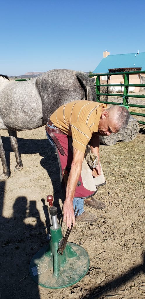 LG trimming horse hooves