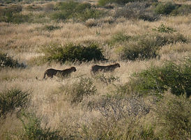 P1100044-scaled.jpg