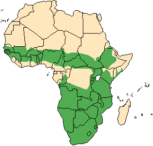 S_grimmia_map.gif