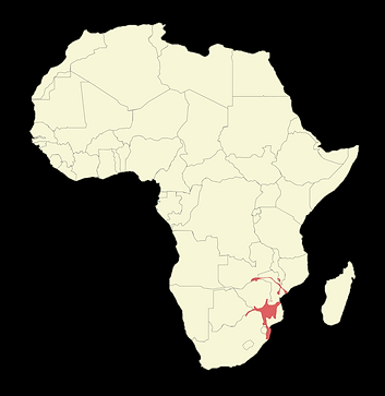Screenshot 2024-03-26 225740.png