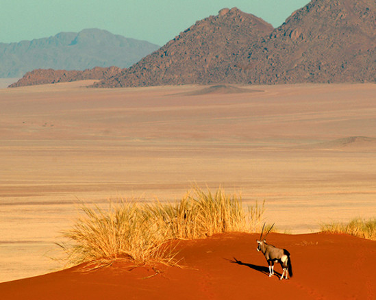 namibrand-landscape06.jpg