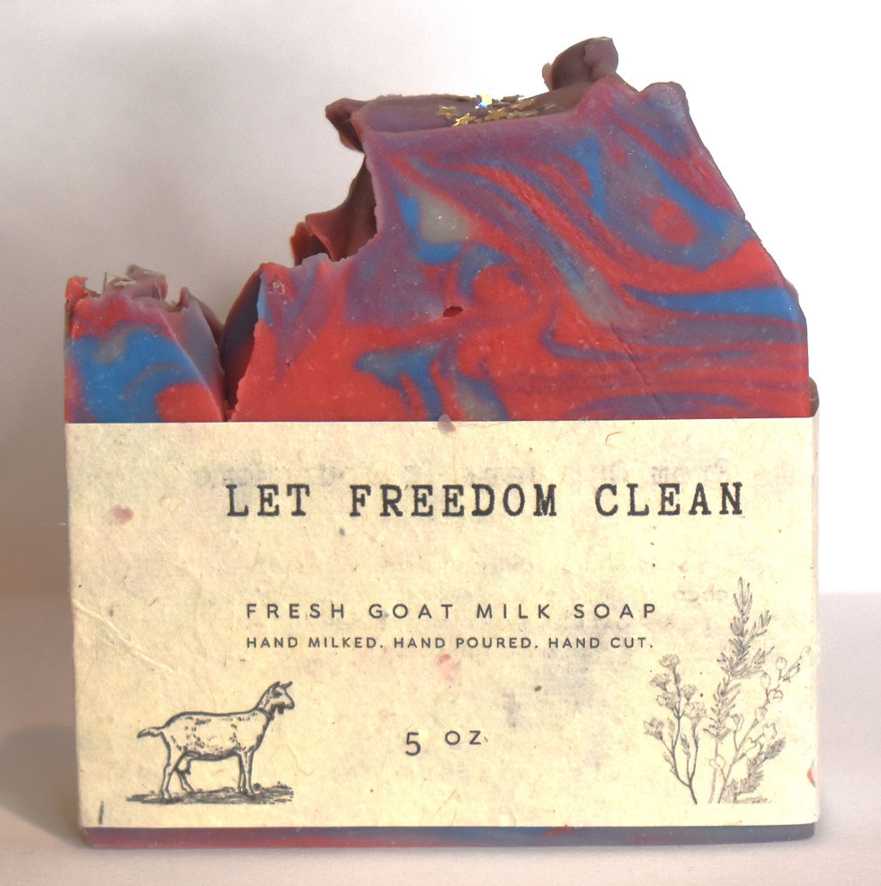 Let Freedom Clean