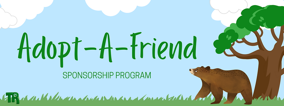 AAF Sponsorship Program (1).png