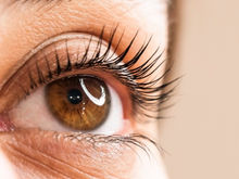 LASH LIFT