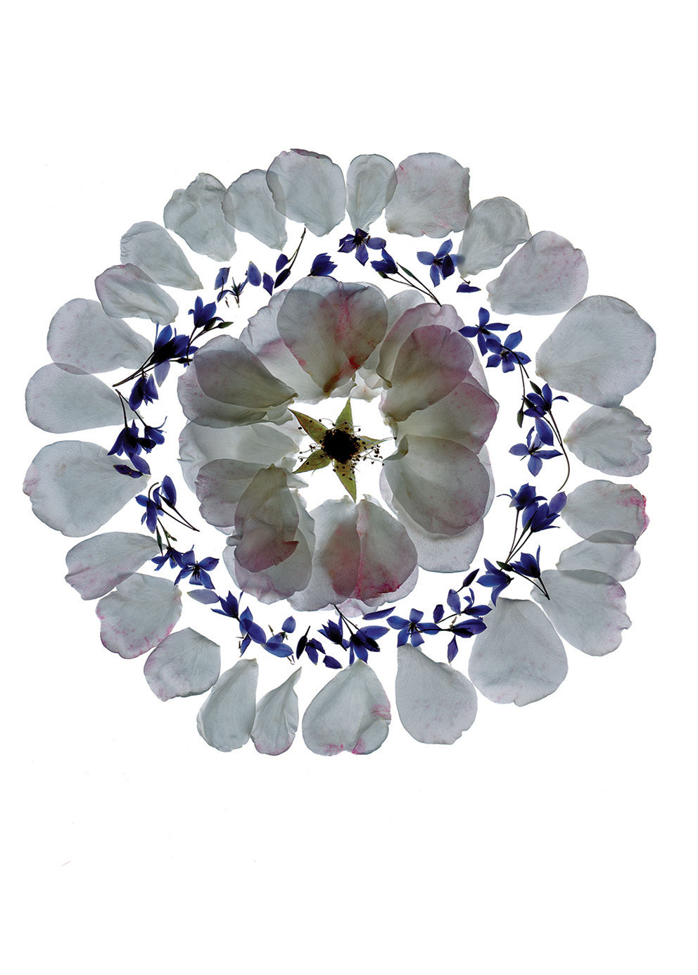 Nikala Bourke Greeting Card