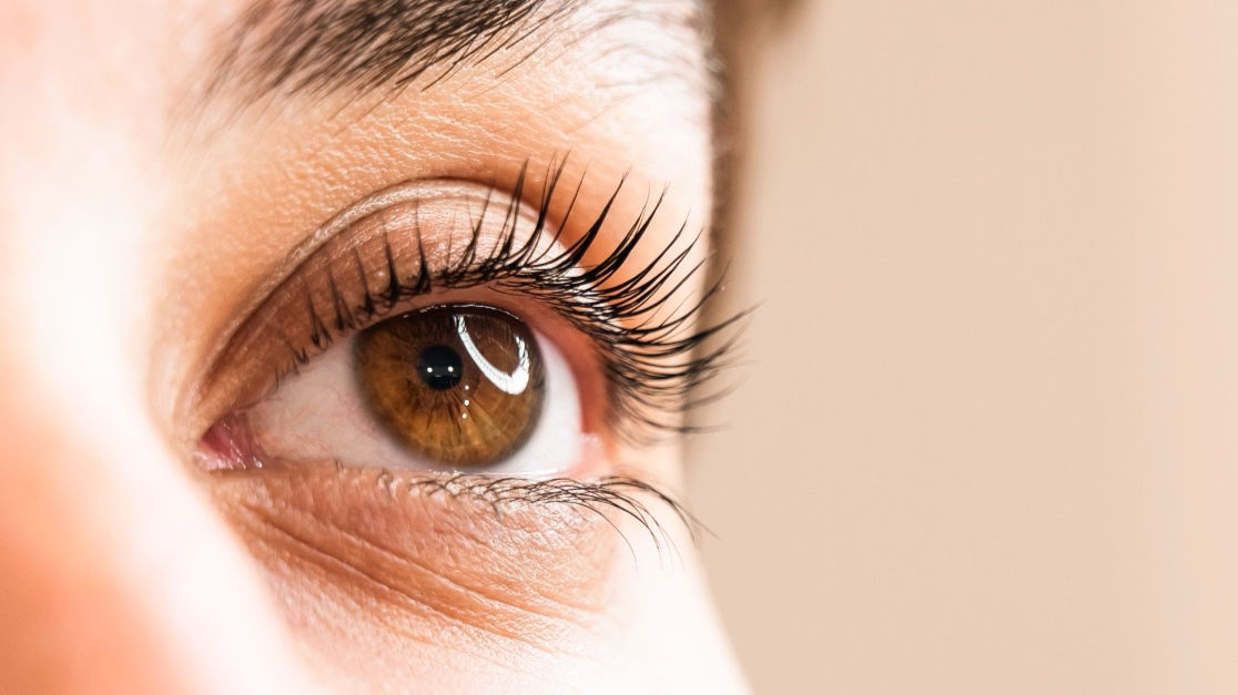 Close-up of a woman's eye after an eyela