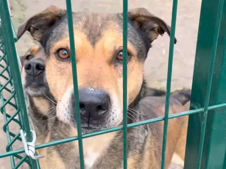 Благодійна ініціатива від @daria_dagmar