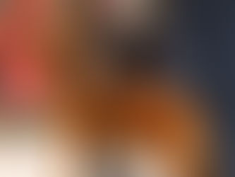 Співпраця з фільмом «Песики»